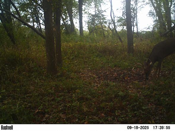 PICT2989