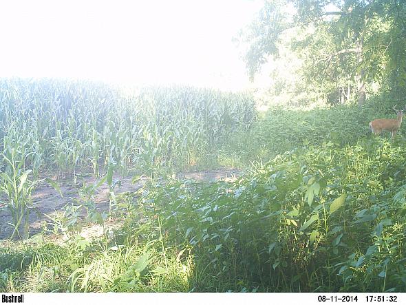 PICT0166 (2)