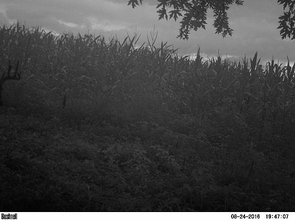 PICT0863