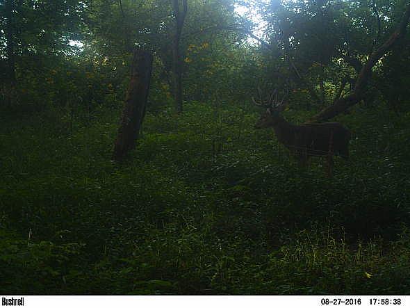 PICT0469