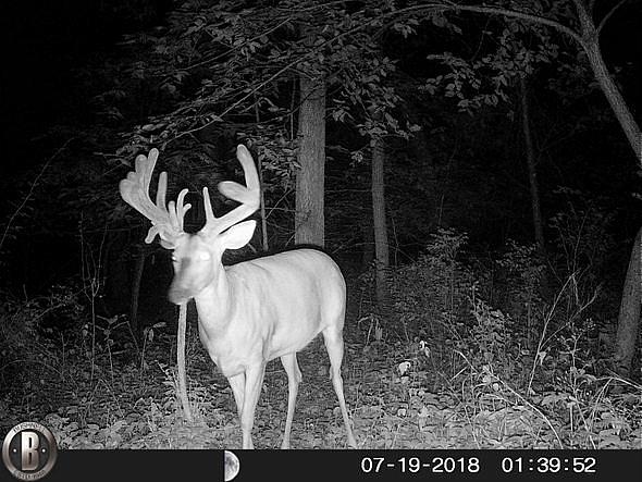 HUNT0096