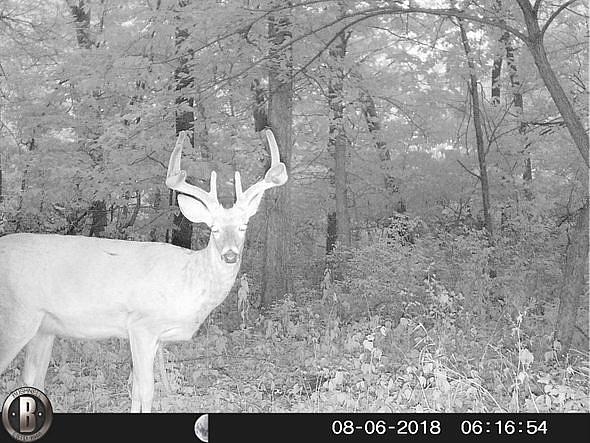 HUNT0422