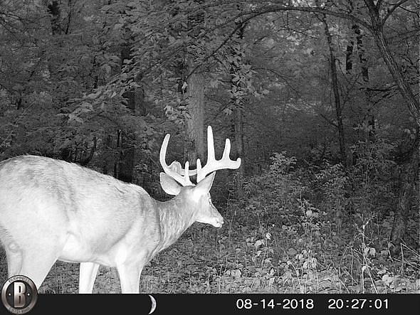 HUNT0554