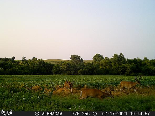 07170029