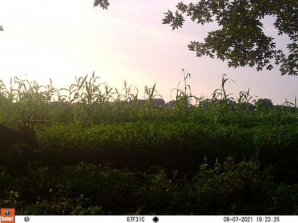 08070266