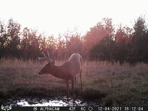 12040950