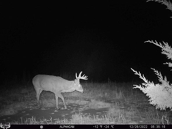 12250434