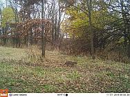 2016-11-01 11010014