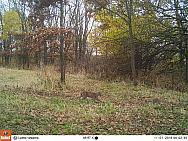 2016-11-01 11010015