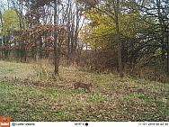 2016-11-01 11010016