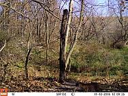 2016-11-12 11120231