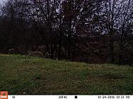 2016-11-24 11240481