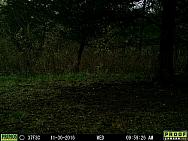 2016-11-30 11300059