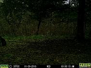 2016-11-30 11300064