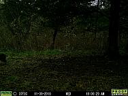 2016-11-30 11300065