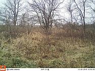 2016-12-09 12090298