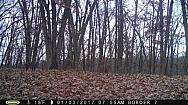 2017-01-03 PICT0323