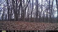 2017-01-03 PICT0324