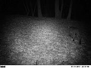 2017-01-11 PICT1332