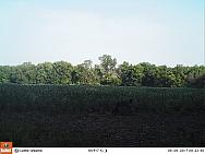 2017-09-09 09090040