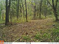 2017-10-10 10100866