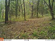 2017-10-10 10100867