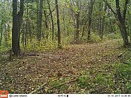 2017-10-10 10100868