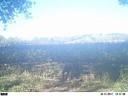 2017-10-17 PICT0603