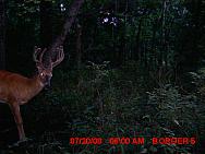MDGC0003