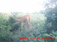 MDGC0020