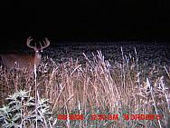 MDGC0026 001