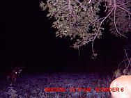 MDGC0037