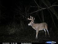 CDY_0033.JPG