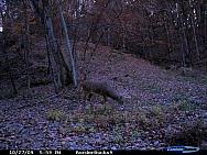 CDY_0038.JPG