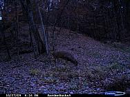 CDY_0039.JPG