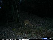 CDY_0041.JPG