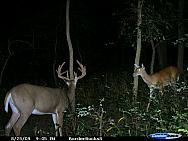 CDY_0053.JPG