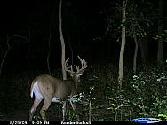 CDY_0055.JPG