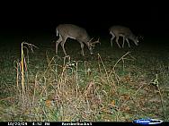 CDY_0082.JPG