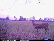 CDY_0128.JPG