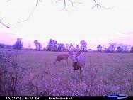 CDY_0131.JPG