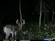 CDY_0142.JPG