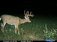 CDY_0215.JPG
