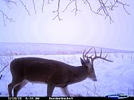 CDY_0281.JPG
