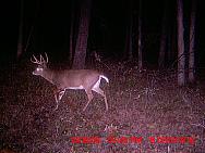 MDGC0011.JPG