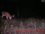 MDGC0361.JPG