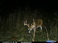 stilts09.JPG