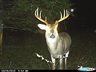 CDY_0003.JPG