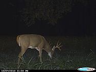CDY_0004.JPG