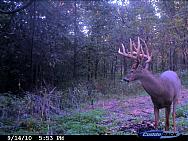 CDY_0006.JPG